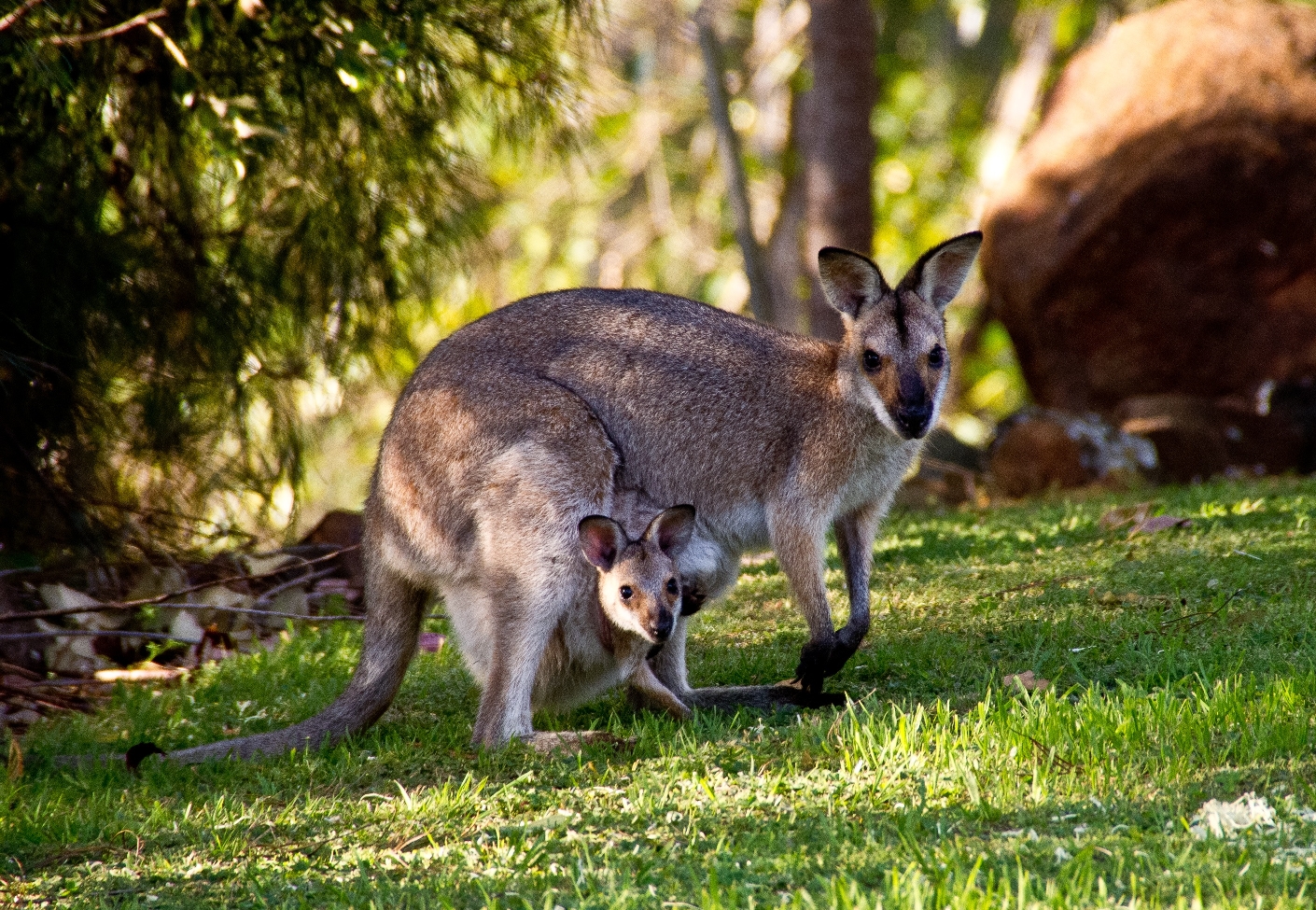Australien