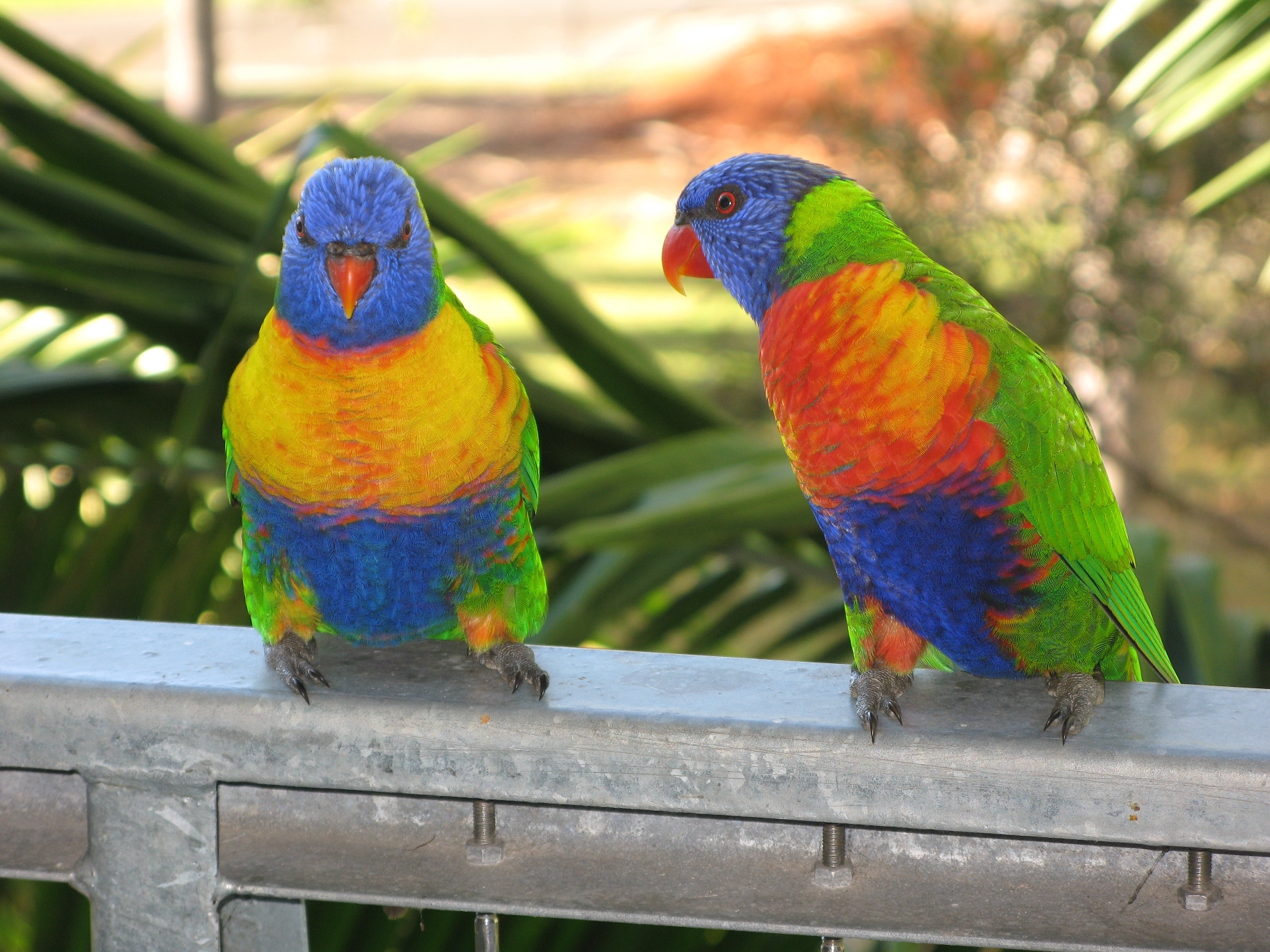 Australien